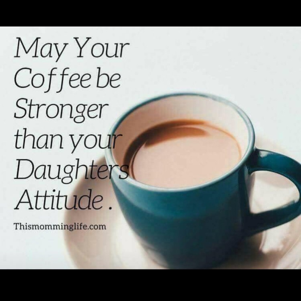 Meet your Posher, Frankie